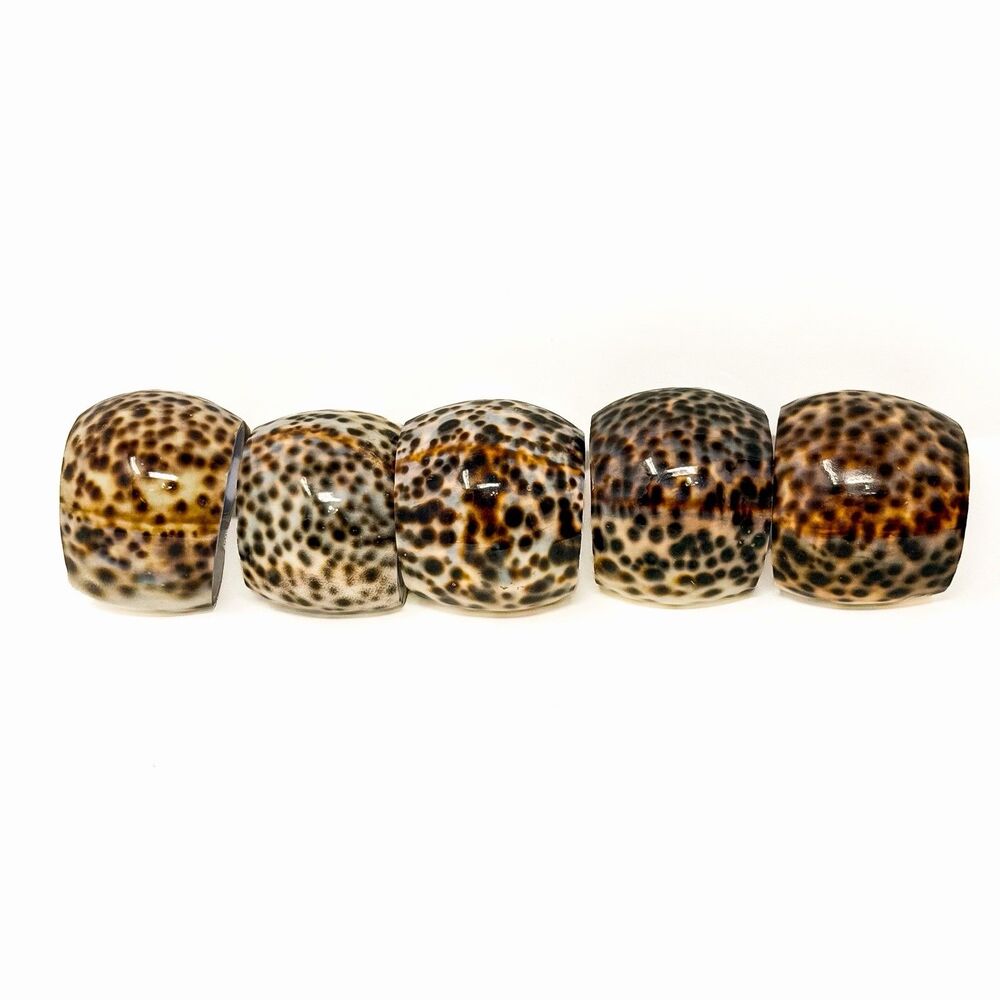 Set of 5 Vintage Natural Tiger Cowrie Shell Napkin Rings Beach Coastal Decor